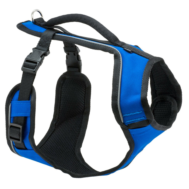 PetSafe Easy Sport Harness - no-pull harness for dogs.