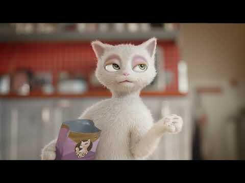 Kitty Cat Filet in Pâté Chicken & Duck - pouch for cats, with chicken and duck, filet in pâté.