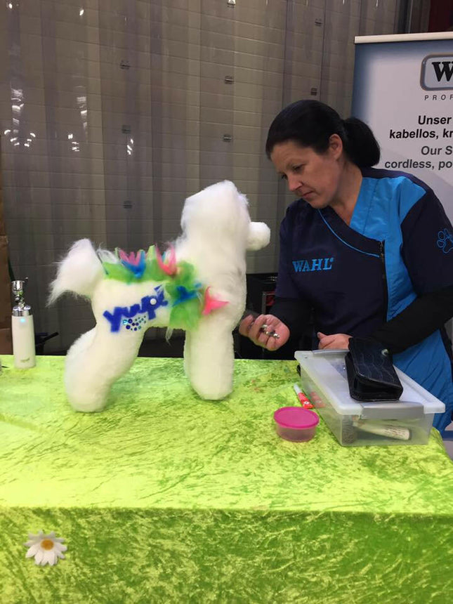 Yuup! Professional Cordless Airbrush - professional cordless airbrush for fur coloring.