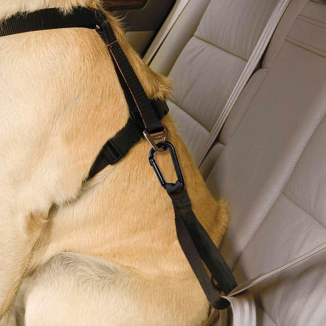 Kurgo Seatbelt Tether - Dog Seatbelt for Kurgo Tru Fit Harness.