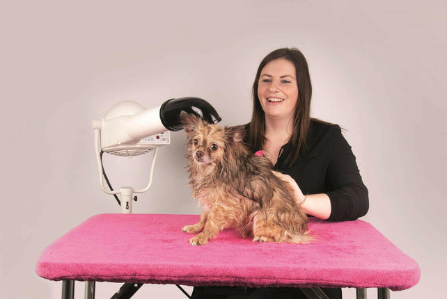 Show Tech+ Toga - microfiber towel for grooming table.