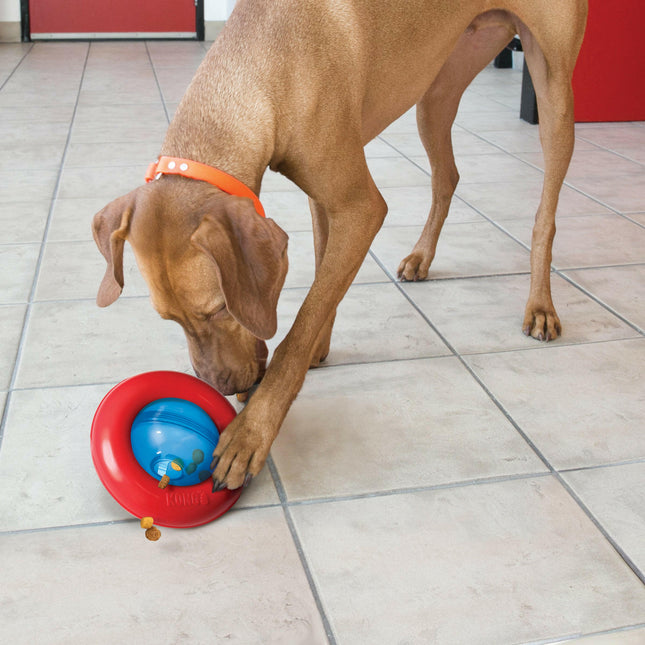 KONG Gyro - interactive treat ball for dogs, with a rolling and pushing ring.