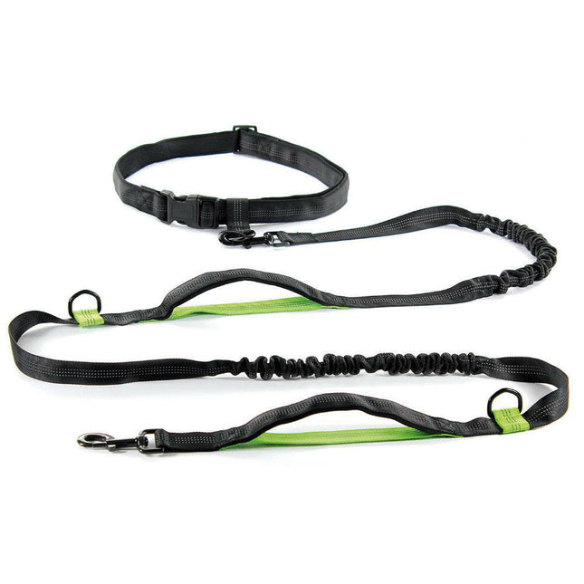 Record Jogging - hip belt for running with a dog, with leash.