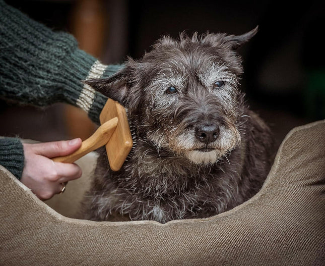 Mikki Bamboo Small Soft Pin Slicker - Bamboo Poodle Brush.