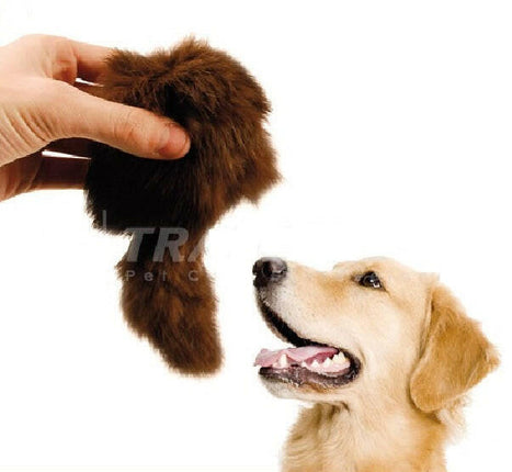 Show Tech squeaky toy for dogs, perfect for the ring and exhibitions.