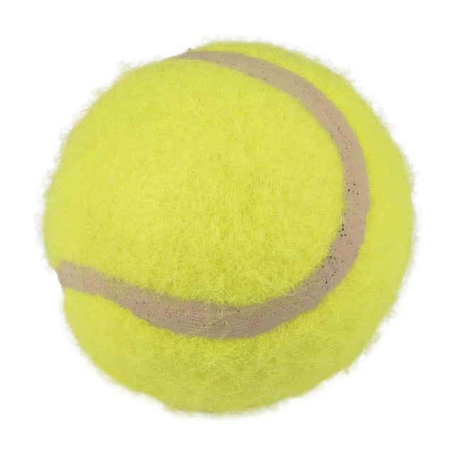 Flamingo Tennis Balls 3-pack - tennis balls for dogs.