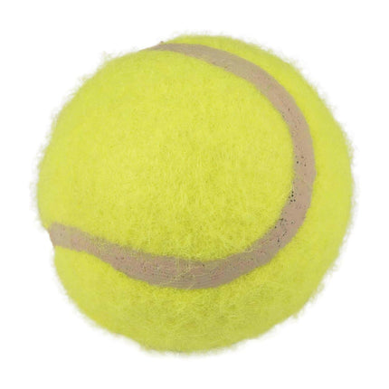Flamingo Tennis Balls 3-pack - tennis balls for dogs.