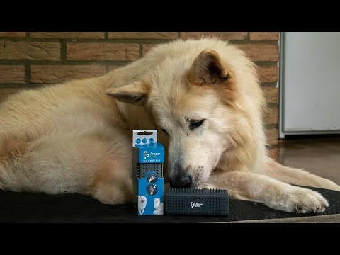 Proper Pets Hair Remover - four-sided, rubber clothing brush.