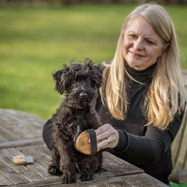 Mikki Bamboo Puppy & Kitten Kit - bamboo grooming set for puppies and kittens.