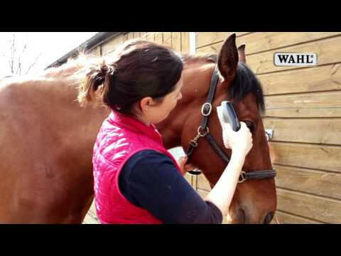 Wahl Face Horse Brush - soft brush for horses, made of hair, for the muzzle and sensitive areas.