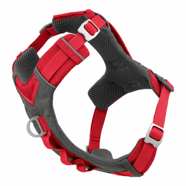 Kurgo Journey Air Harness - running harness for dogs.