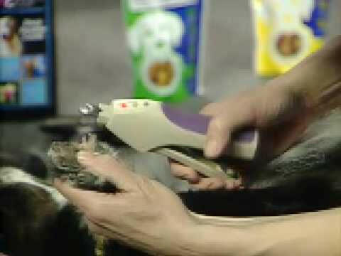 Miracle Care QuickFinder Trimmer - nail clipper for small dogs with a safety sensor to prevent cutting too short.