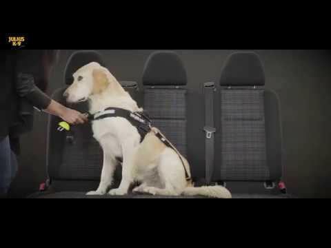 Julius - K9 StopDog Mobility Control Car Tether Leash - car leash for dogs.