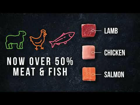 Harringtons Just 6 Mixed Pack - grain-free wet dog food, 4 flavor set - PROMOTION due to best before date of 30.04.202.