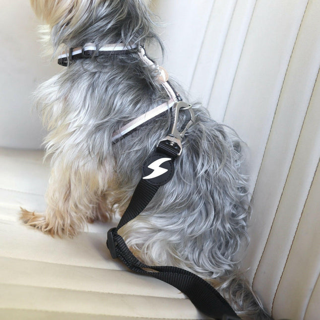 Dashi Solid Seat Belt - car leash, dog seat belt.