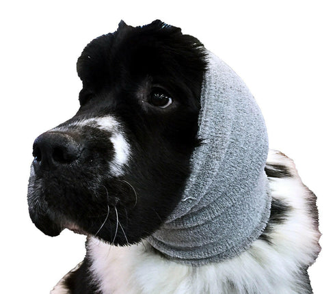 Show Tech Ear Buddy XL - drying band for timid dogs, large.