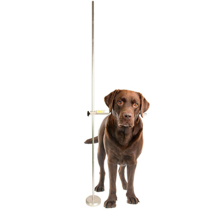 Show Tech Professional Adjustable Dog Measuring Stick - professional canine measuring tool.