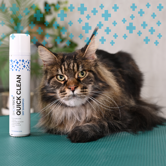 Show Tech+ Dry Shampoo - texturizing dry shampoo spray for dogs and cats.