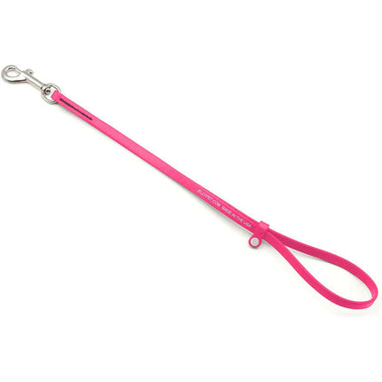 Jelly Pet Grooming Loop 1.27x60.96cm - professional grooming leash, waterproof and durable.
