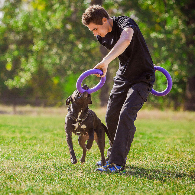 Puller Standard 28cm 2pcs - ring for large dogs, training toy.