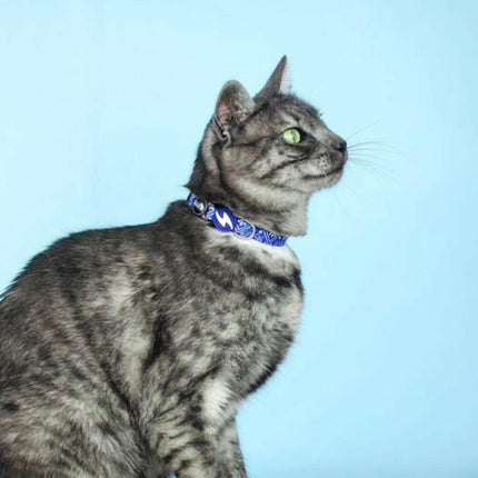 Dashi Zillij Cat Collar - cat collar, mosaic pattern.