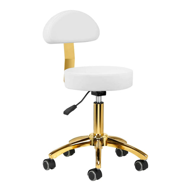 Activ AM - 304G Gold White - gold grooming chair/stool with height adjustment, removable backrest, white.