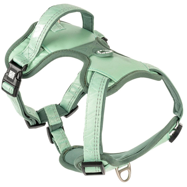 Max&Molly Sport Harness Matrix 2.0 Jade - adjustable harness for dogs, with QR identifier.