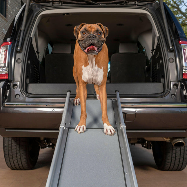 PetSafe Happy Ride Compact Telescoping Dog Ramp - compact telescoping ramp for dogs.