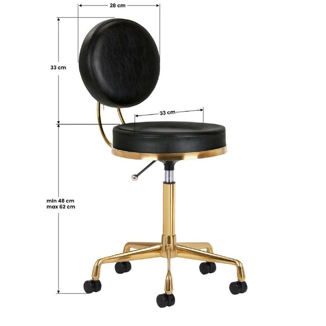 Activ H5 Gold Black - gold grooming chair with height adjustment, black.
