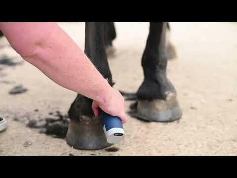 Lister Eclipse - professional cordless clipper for grooming horses and cattle.