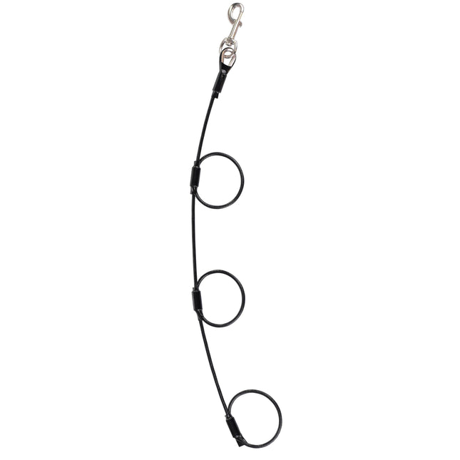 Blovi - vertical leash for multiple dogs.