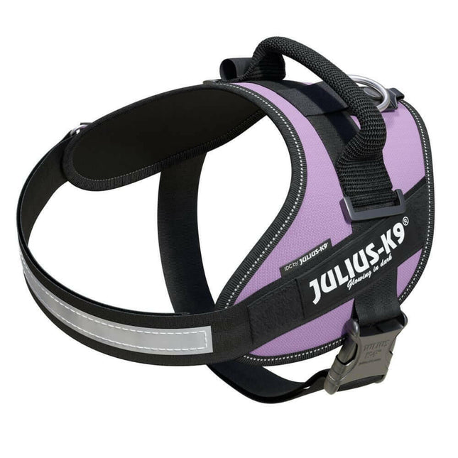 Julius - K9 IDC Powerharness - high-quality harness for dogs.