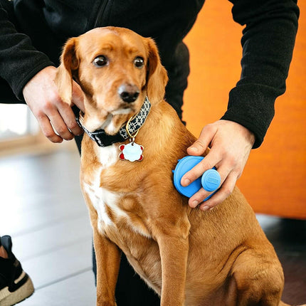 Dexas BrushBuster - silicone brush for dogs and cats, suitable for use on dry and wet fur.