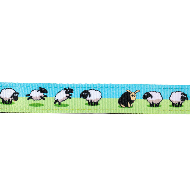 Max&Molly GOTCHA! Smart ID Cat Collar Sheep - colorful collar for cats with a smart Tag pendant.