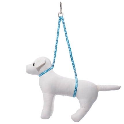 Groom Professional Dual Noose - double grooming leash, with dog paw prints.
