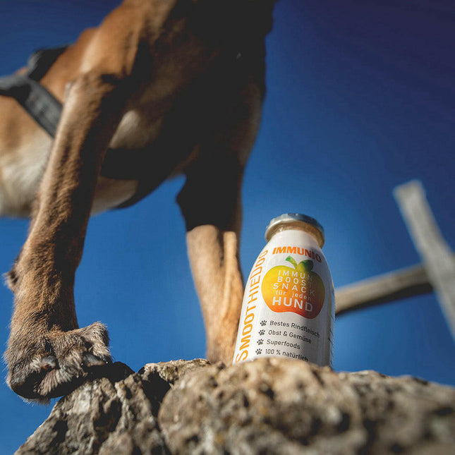 SmoothieDog Immunio - smoothie for dogs, supporting the immune system.