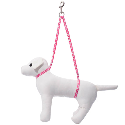 Groom Professional Dual Noose - double grooming leash, with dog paw prints.