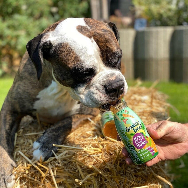 SmoothieDog Vege - Love - vegan smoothie for dogs.