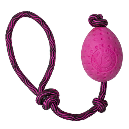 Kiwi Walker Let's Play Egg - dog toy, egg on a string.