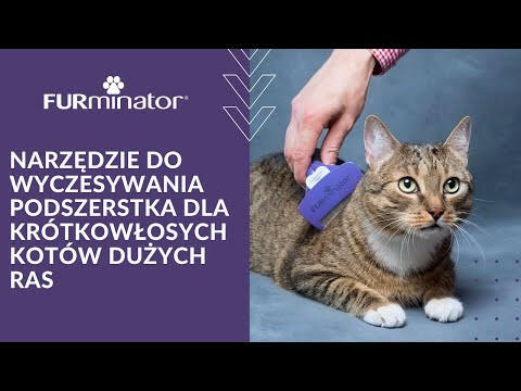 FURminator for Short-Haired Cats.