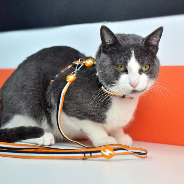 Dashi Stripes Orange & Black Cat Harness + Leash - harness and leash for cats, set, orange and black stripes.