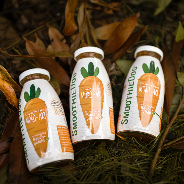 SmoothieDog Moro - Art - smoothie for dogs, carrot smoothie.