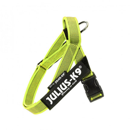 Julius - K9 Color & Gray Belt Harness Neon - dog harness, neon.