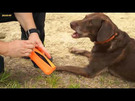 Julius - K9 Multidummie One Hand - multifunctional tug toy for dogs, water toy.