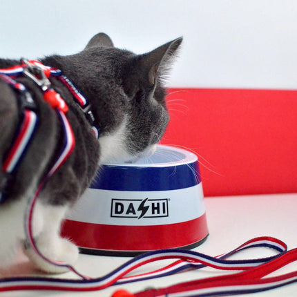 Dashi Stripes Red & Blue Cat Harness + Leash - cat harness and leash set, red and blue stripes.