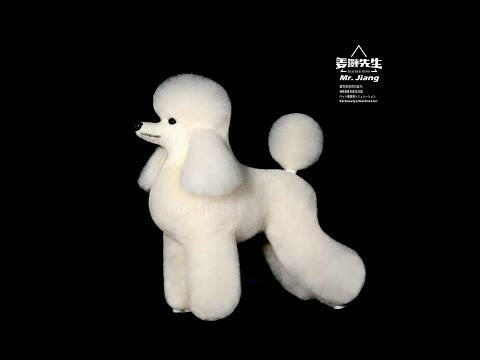 Mr. Jiang Poodle Full Body Hair Lamb - interchangeable fur for Toy Poodle grooming mannequin, cream.