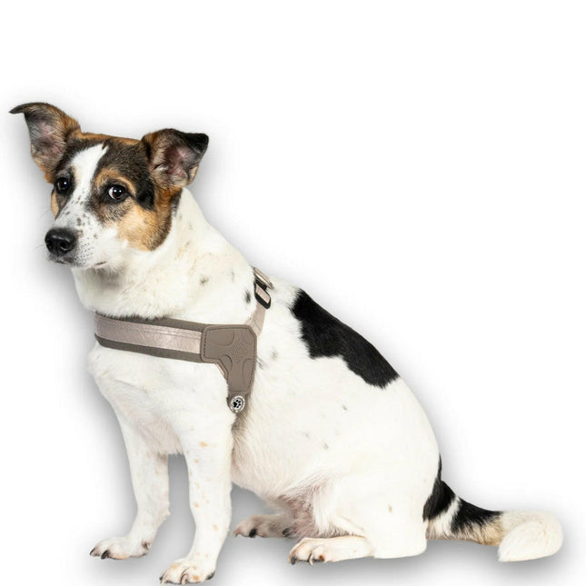 Max&Molly Q - Fit Harness Matrix 2.0 - lightweight step-in harness for dogs, with QR identifier, beige.