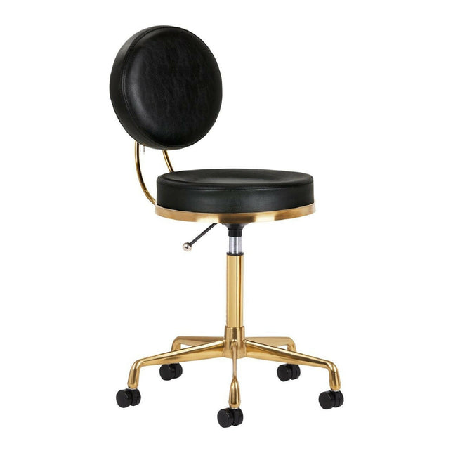 Activ H5 Gold Black - gold grooming chair with height adjustment, black.