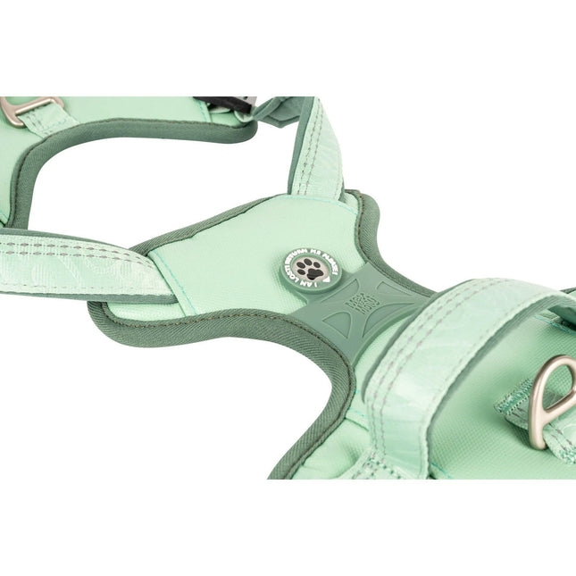 Max&Molly Sport Harness Matrix 2.0 Jade - adjustable harness for dogs, with QR identifier.