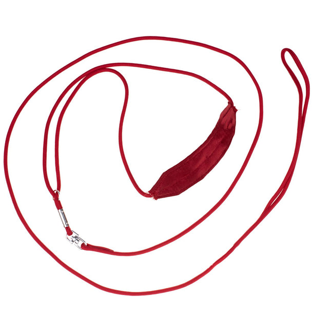 Show Tech Silk Show Led 0.3x100cm - professional ring lead for dogs, for presentation at exhibitions